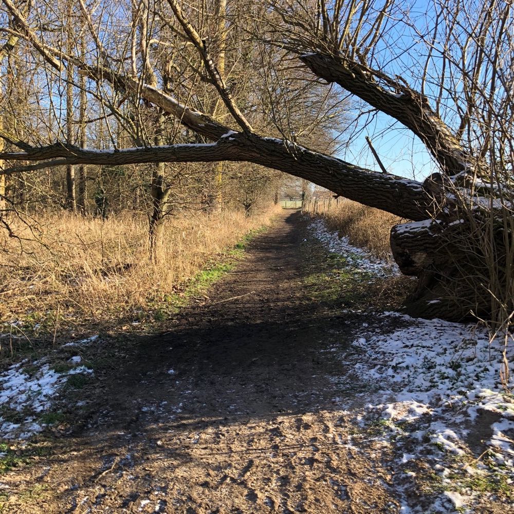 Wandelen door de omgeving van Belgisch Limburg