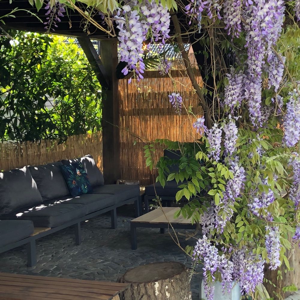 Kleurrijke paarse bloemetjes voor de loungehoek van je vakantiehuis