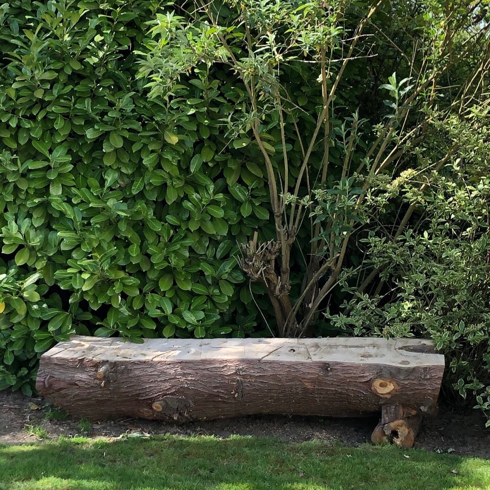 Groenomgeving rondom een vakantiehuis in België