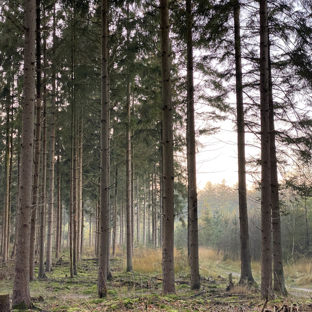 Herfstwandeling