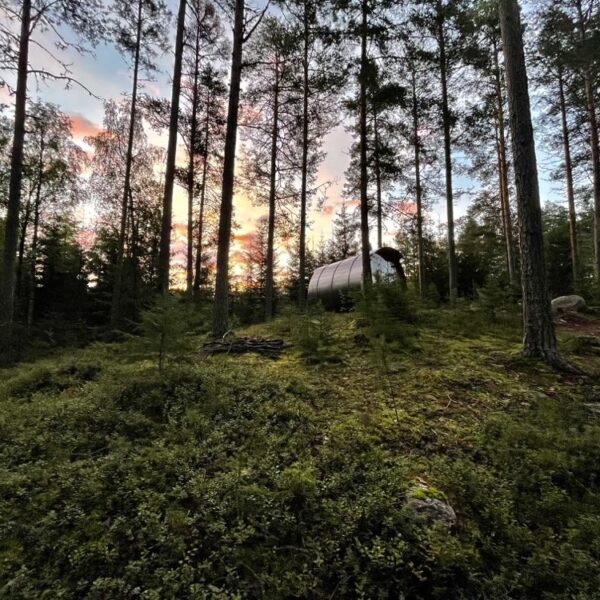 Bijzonder overnachten in het bos in Dalarna