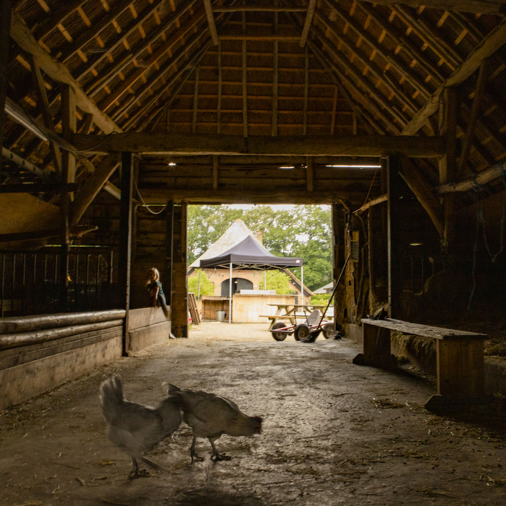 Slapen bij de boer in Gelderland