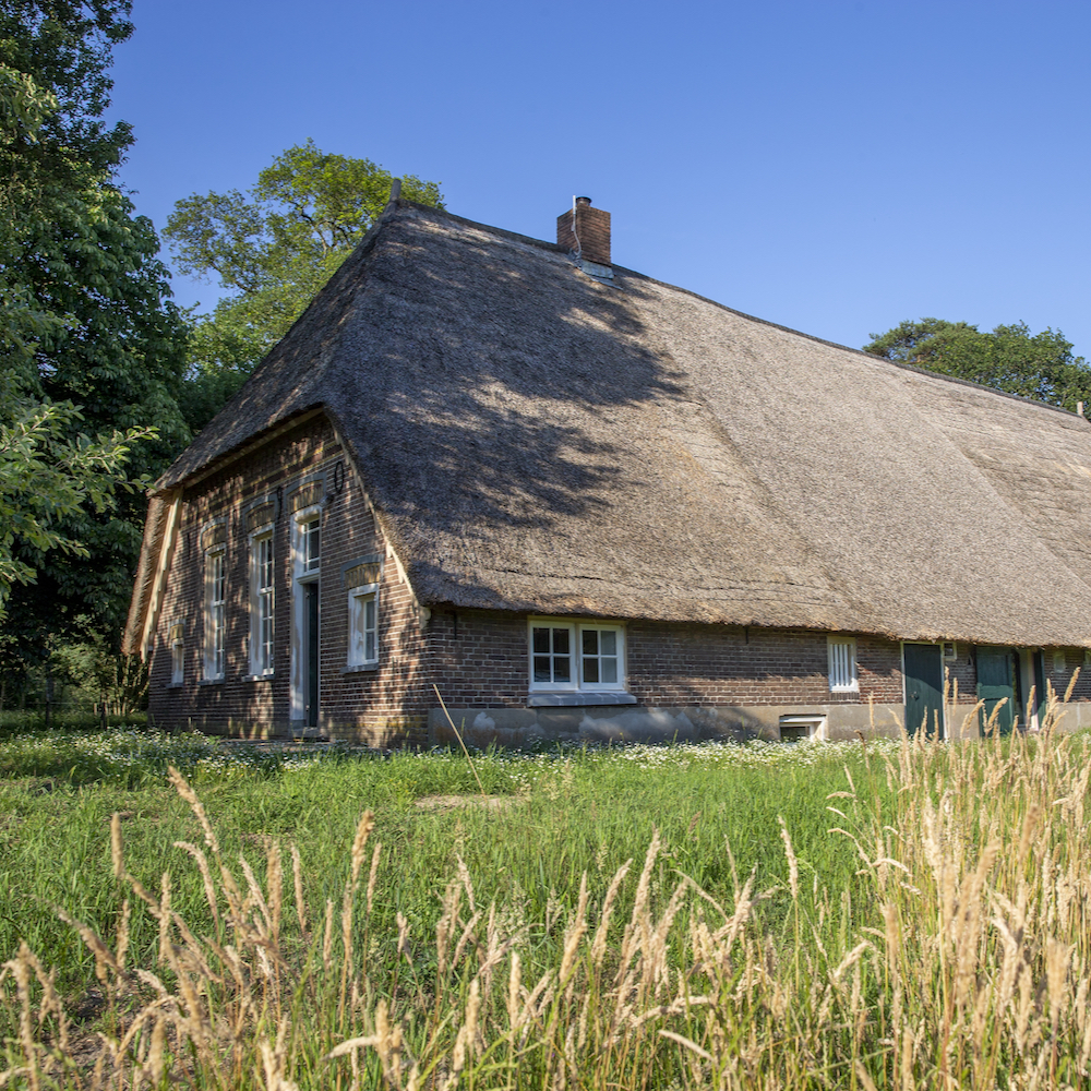 Rietgedekte vakantieboerderij