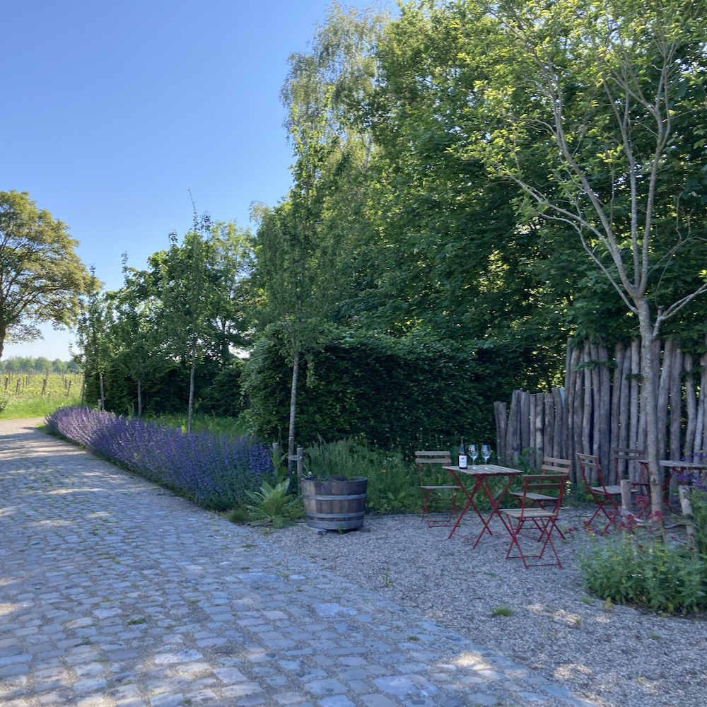 Terras bij de wijngaard