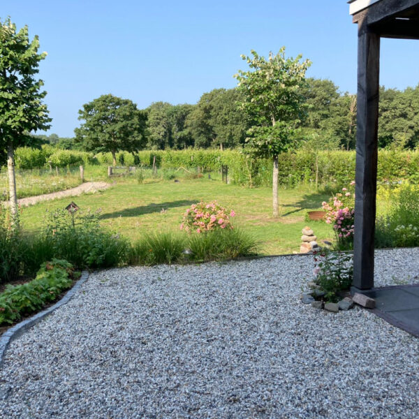 Zicht vanaf het terras op de wijnranken