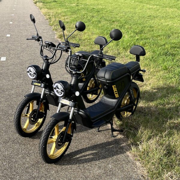 Een tochtje op de solex over Goeree-Overflakkee