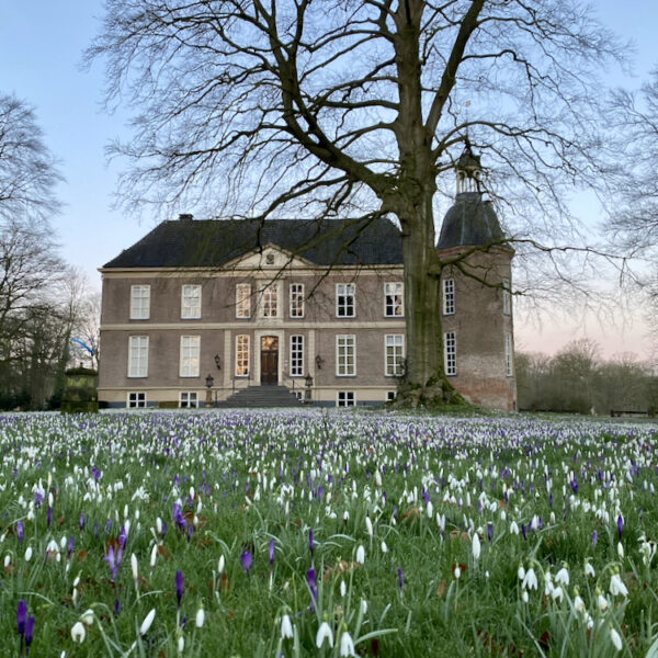 Kasteel Hackfort met bloeiende sneeuwklokjes en krokussen
