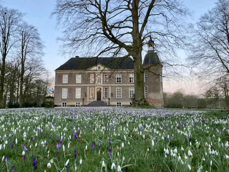 Kasteel Hackfort met bloeiende sneeuwklokjes en krokussen
