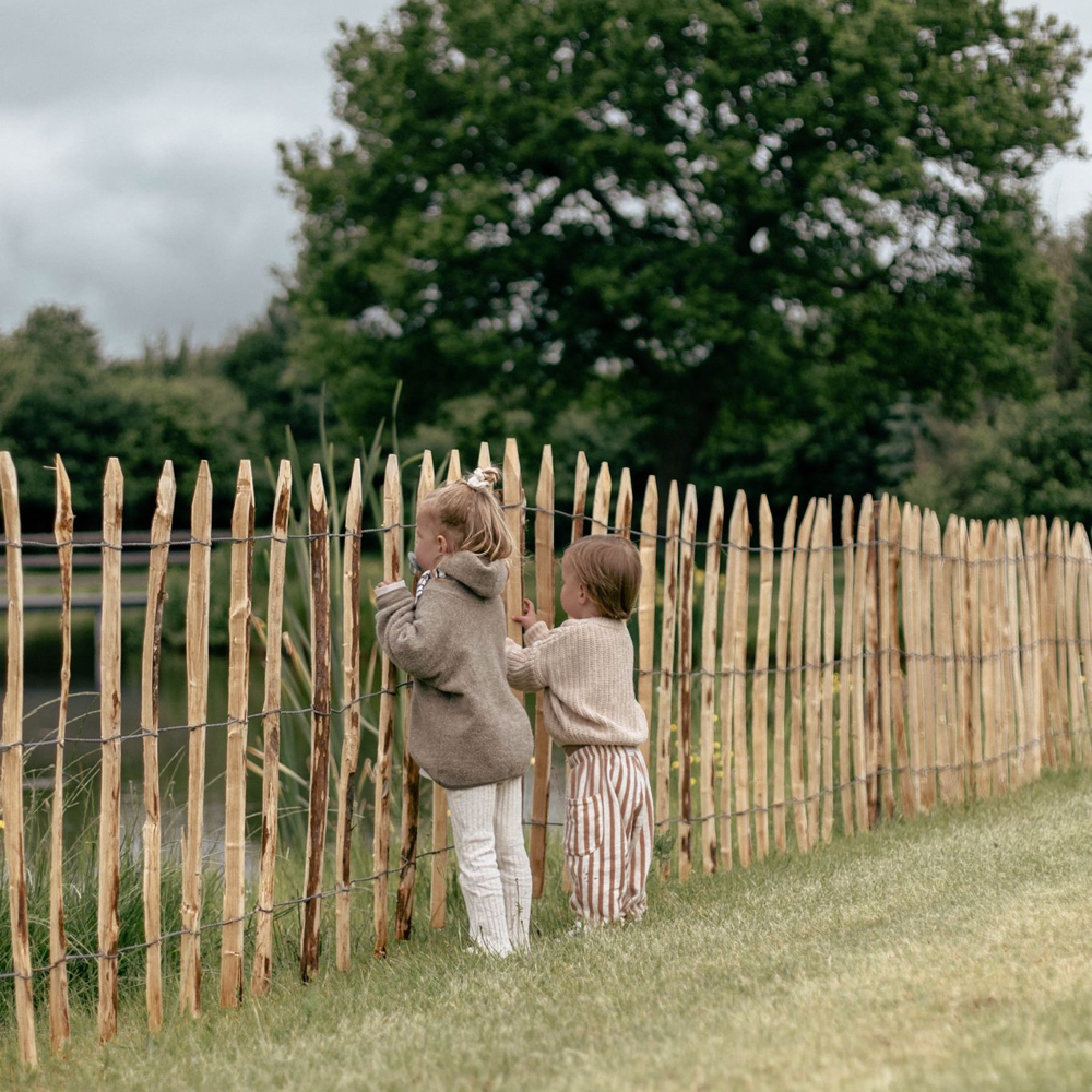 Kindjes aan een hekje bij een meertje