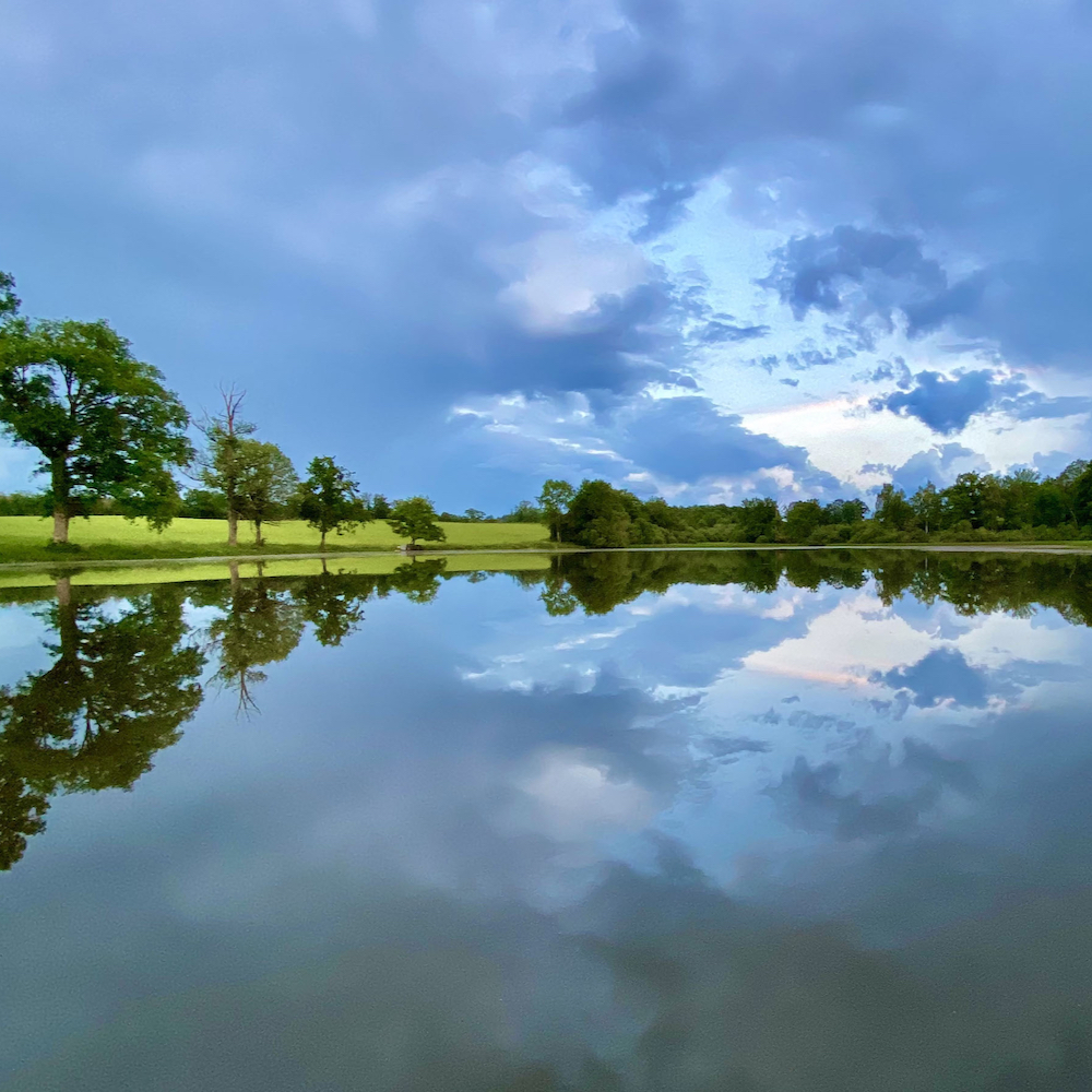 Meertje in de natuur