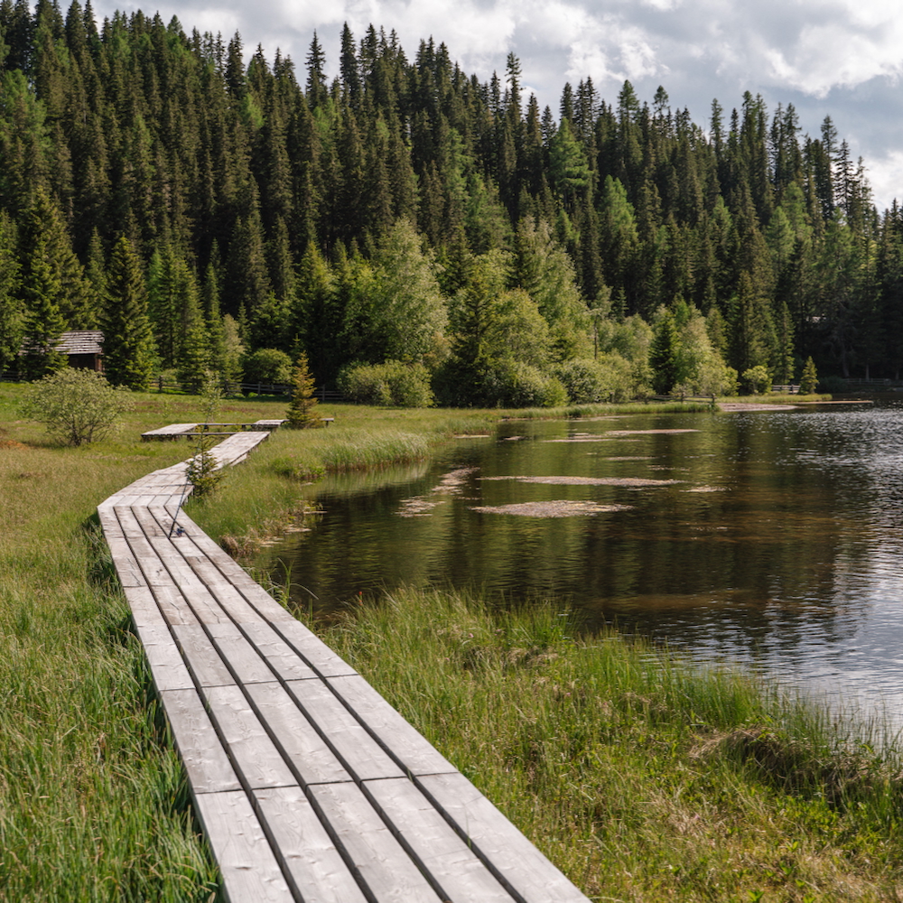 Vlonderpad bij een meer in de natuur in Lungau