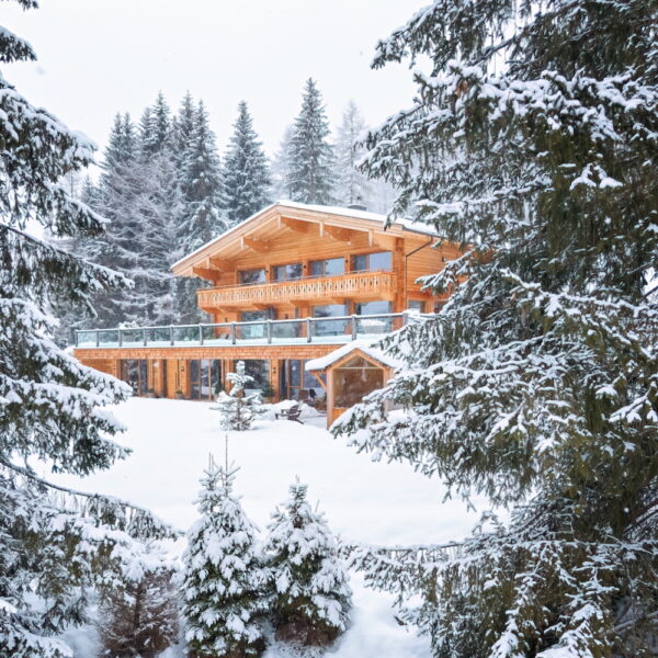 Berglodge bedekt met sneeuw in de natuur in het Salzburger Land
