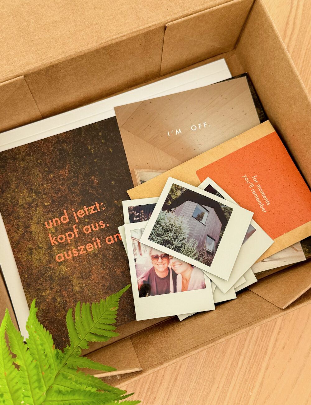 Doos met polaroids en flyers in vakantiehuis in Westerwald