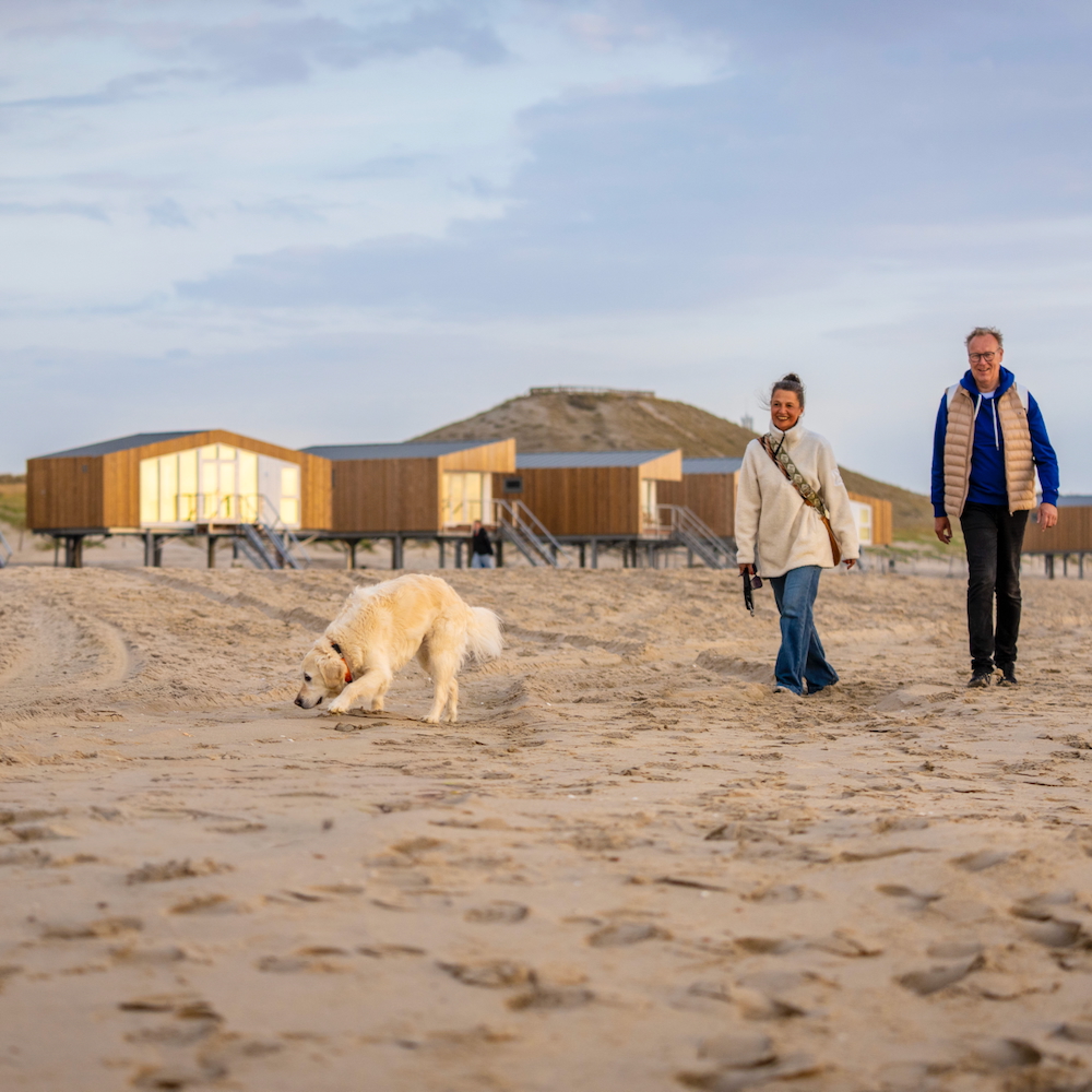 Strandwandeling met de hond vanuit vakantiehuis in Petten