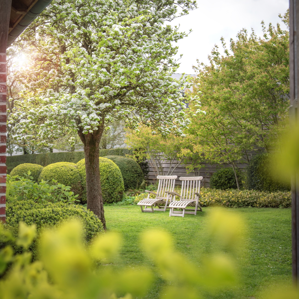 Stoelen in een groene tuin bij Door Drongen Goed