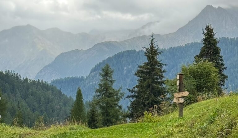 Zicht van Hof Zuort op de bergen
