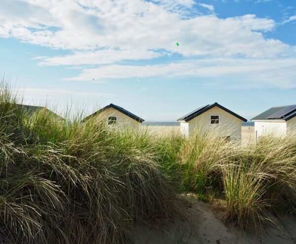 Strandhäuser in einer Reihe am Strand bei Vrouwenpolder