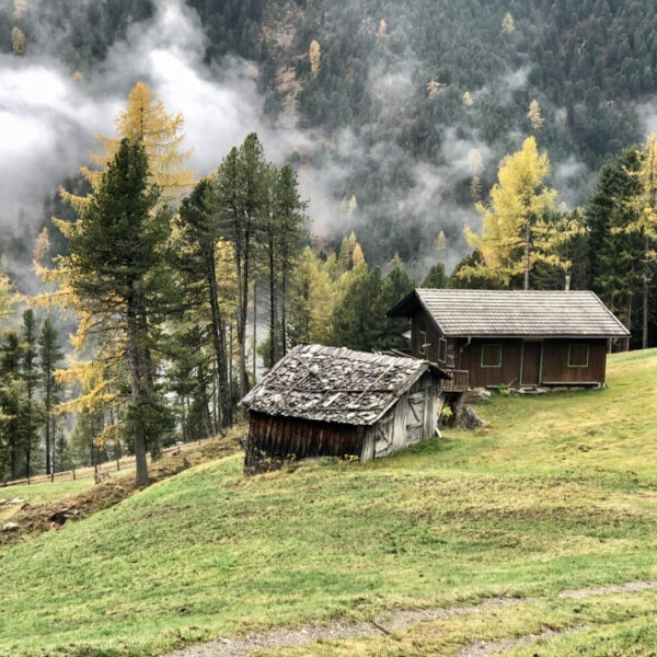 Berghütten auf einer Almwiese