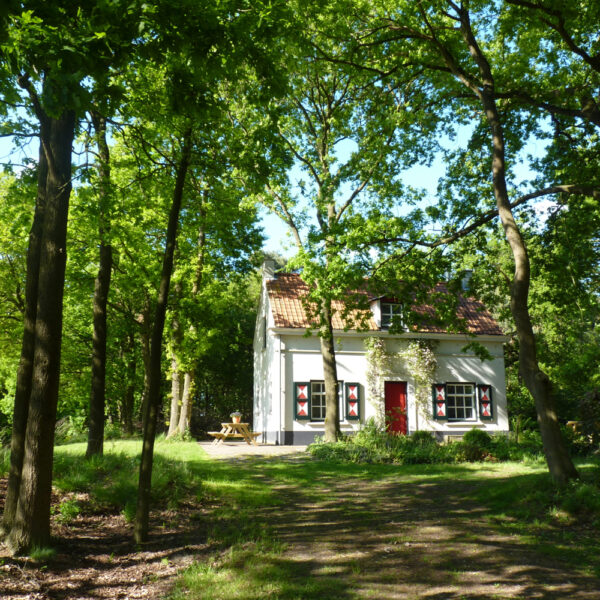 Umgeben von viel Grün, ein schönes Ferienhaus im Wald.