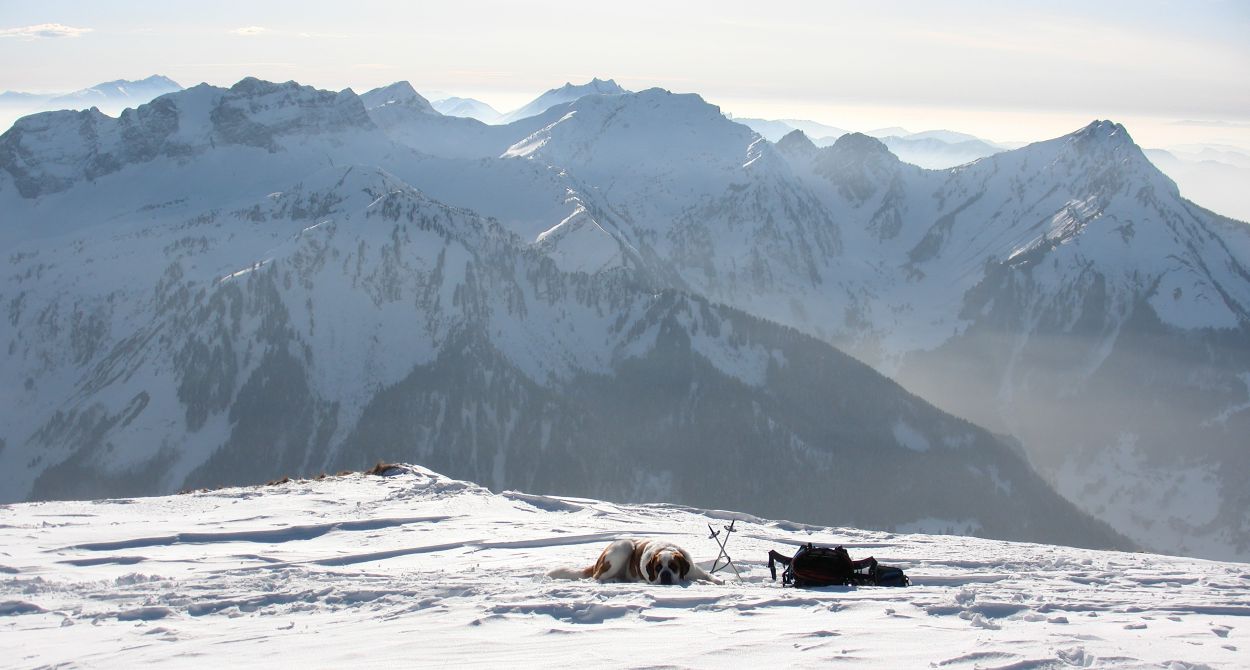 Trekking mit Hund durch Schnee hoch in den Bergen