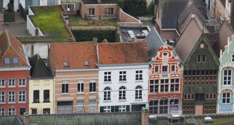 Blick von oben auf die historischen Gebäude