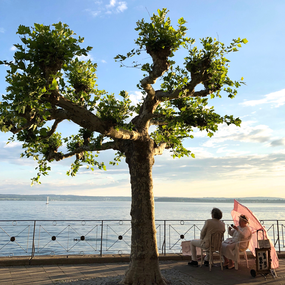 Kleiner Baum neben 2 Männern am Wasser
