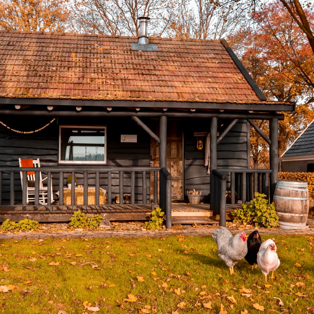 Holzhaus mit Hühnern auf der Wiese
