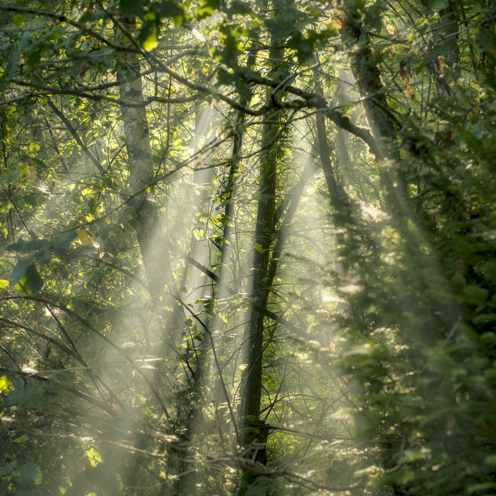Urlaub im Herzen der belgischen Ardennen.