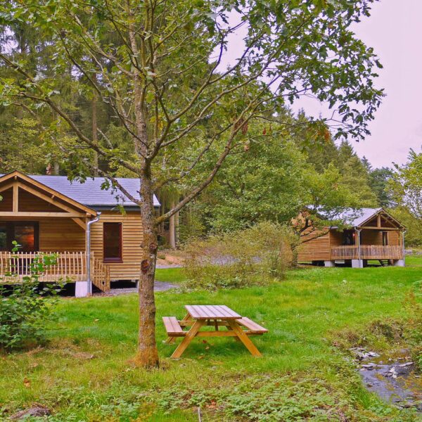 Holzhäuschen auf der Wiese, mit einem Picknicktisch und dem Wald im Hintergrund.