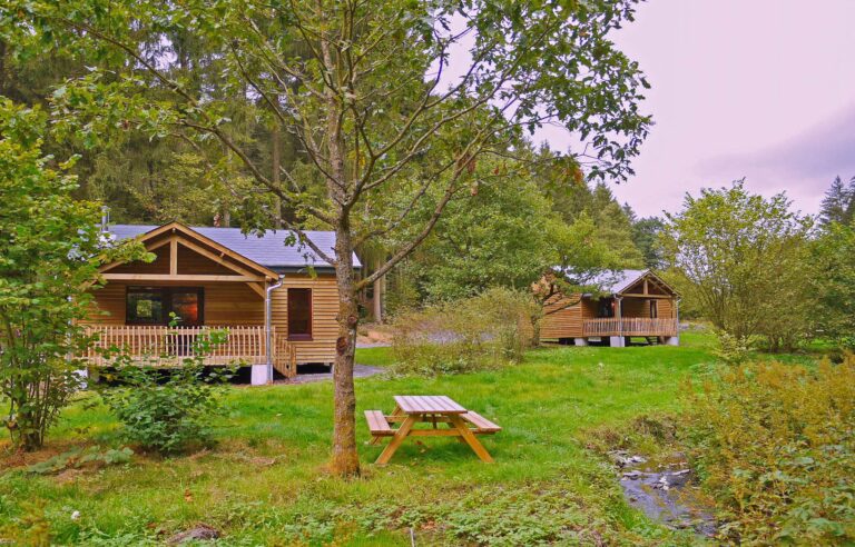 Holzhäuschen auf der Wiese, mit einem Picknicktisch und dem Wald im Hintergrund.