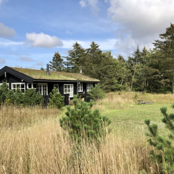 Ferienhaus mit Moos auf dem Dach