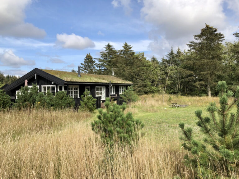 Ferienhaus mit Moos auf dem Dach