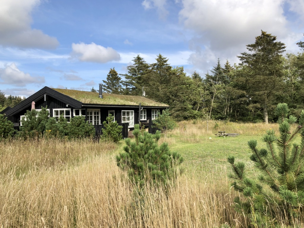 Ferienhaus mit Moos auf dem Dach