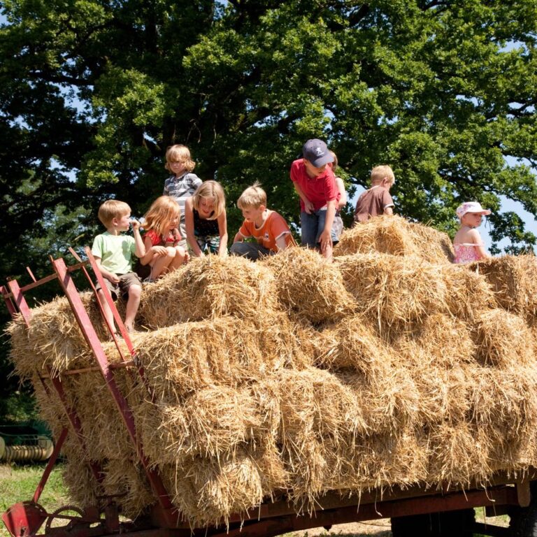 Spielen im Heu auf dem Heuwagen