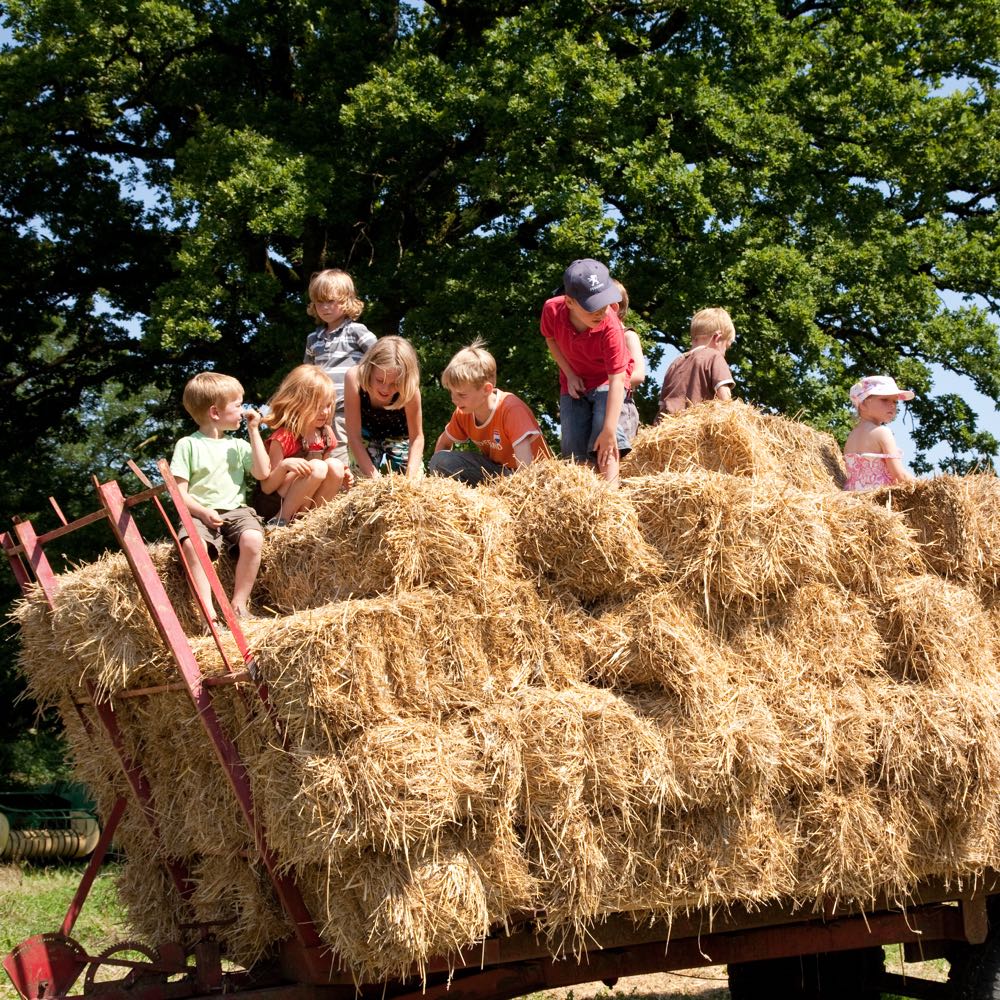 Spielen im Heu auf dem Heuwagen