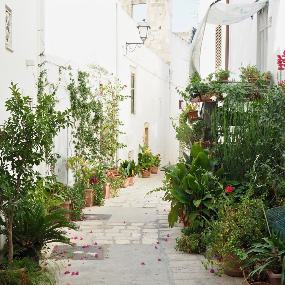 Weiße Straße voller Pflanzen