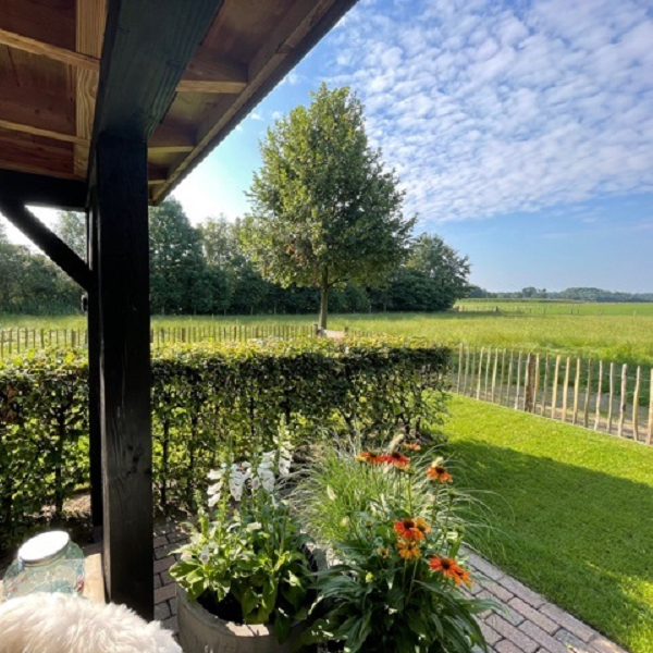 Blick auf das Ferienhaus Veluwe