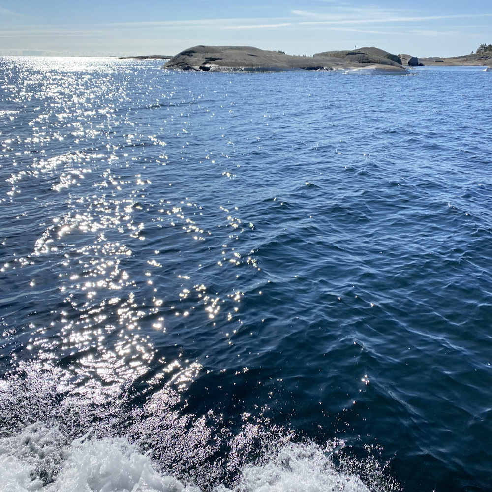 Seeadler-Safari in Vastervik