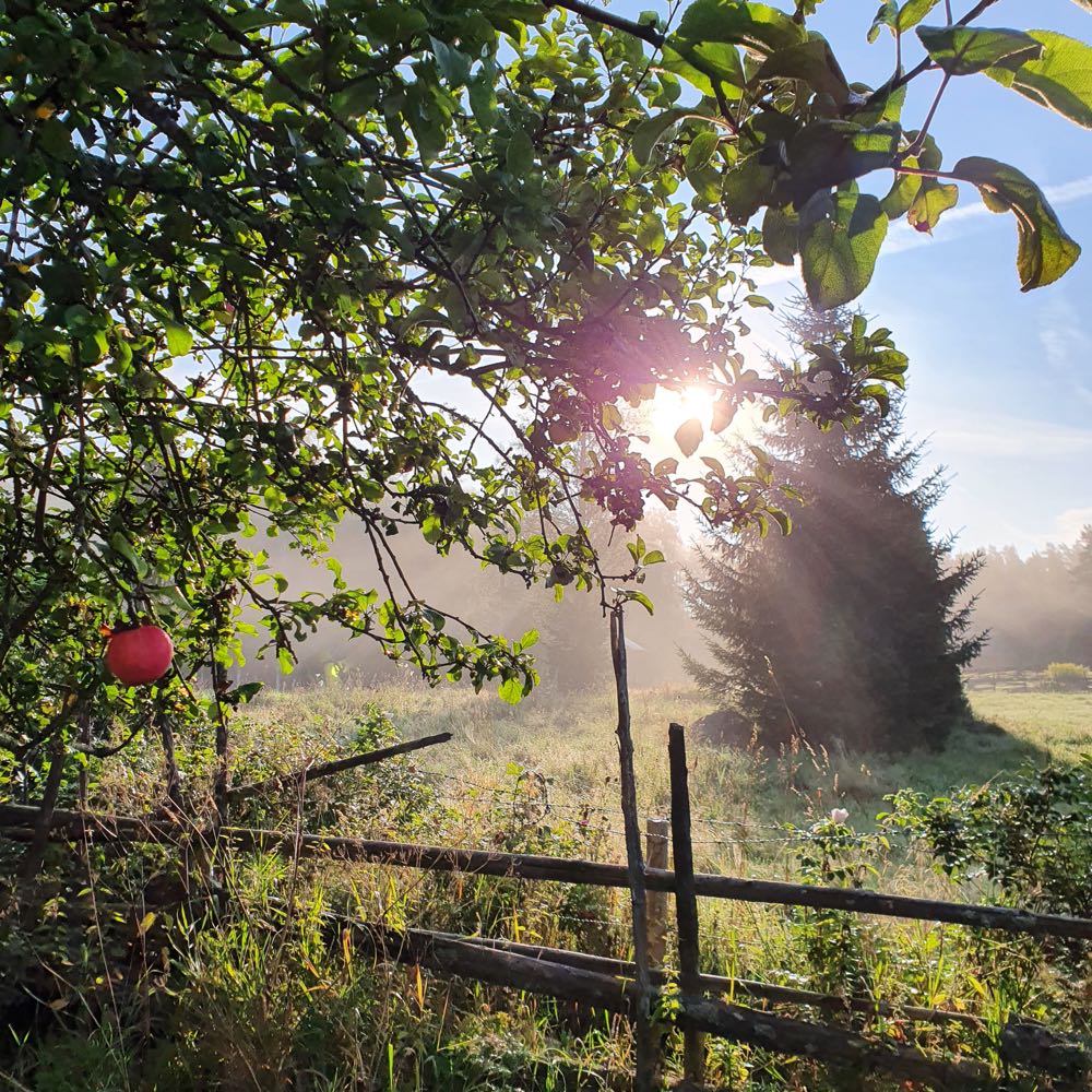 Sunrise Ferienhaus Schweden Smaland