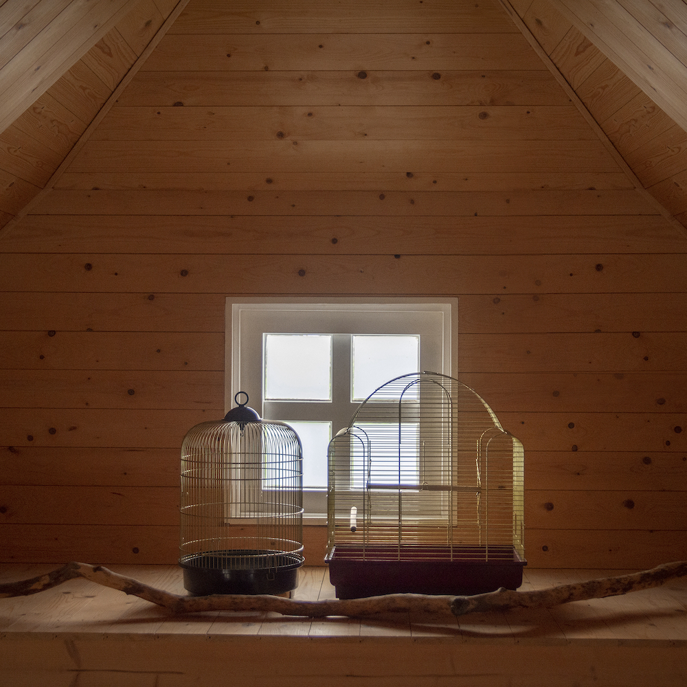 Schlafzimmerfenster mit zwei Käfigen