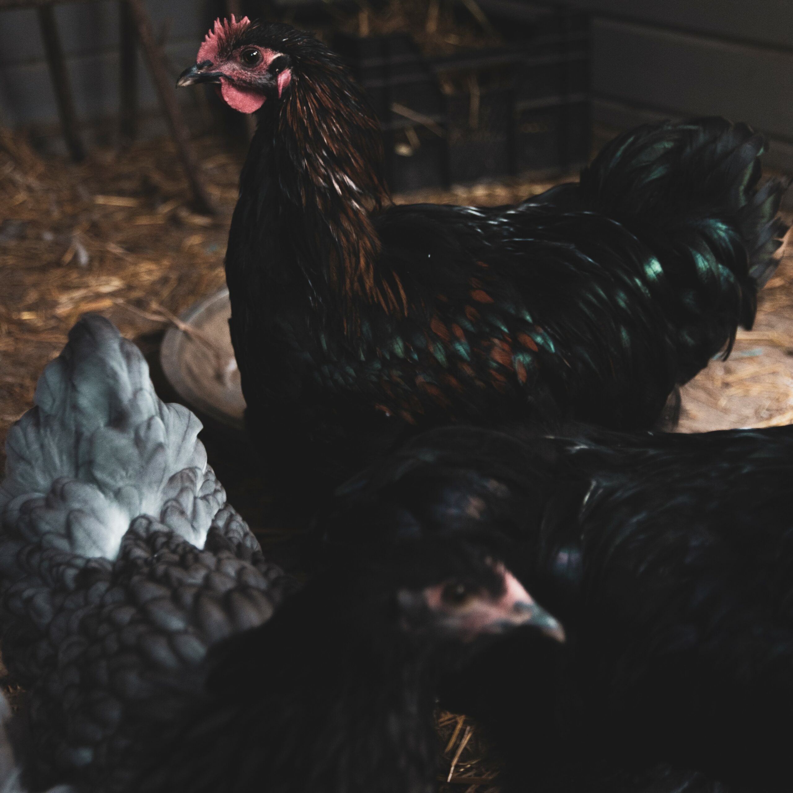 Besondere Aufenthalte in Gelderland