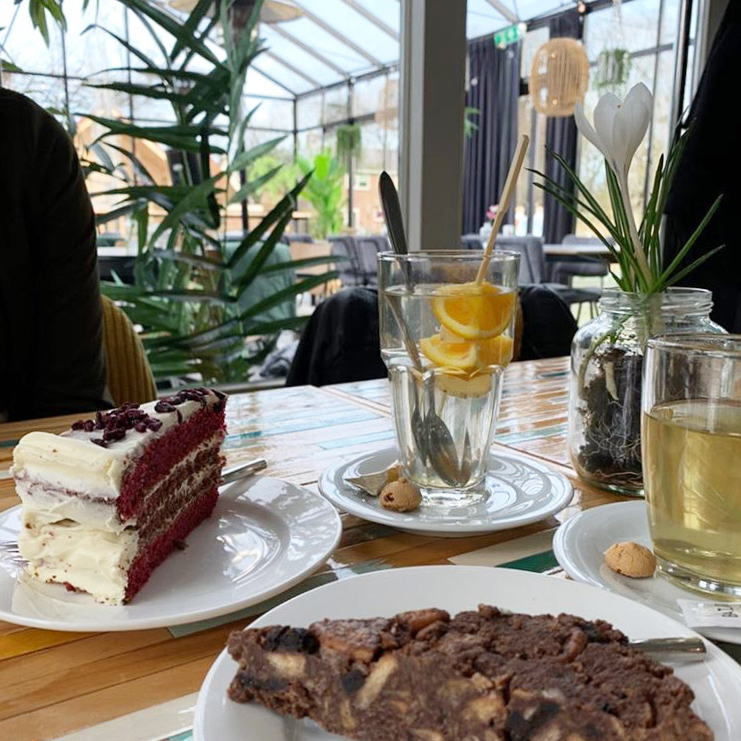 Tee und Kuchen im Marenland