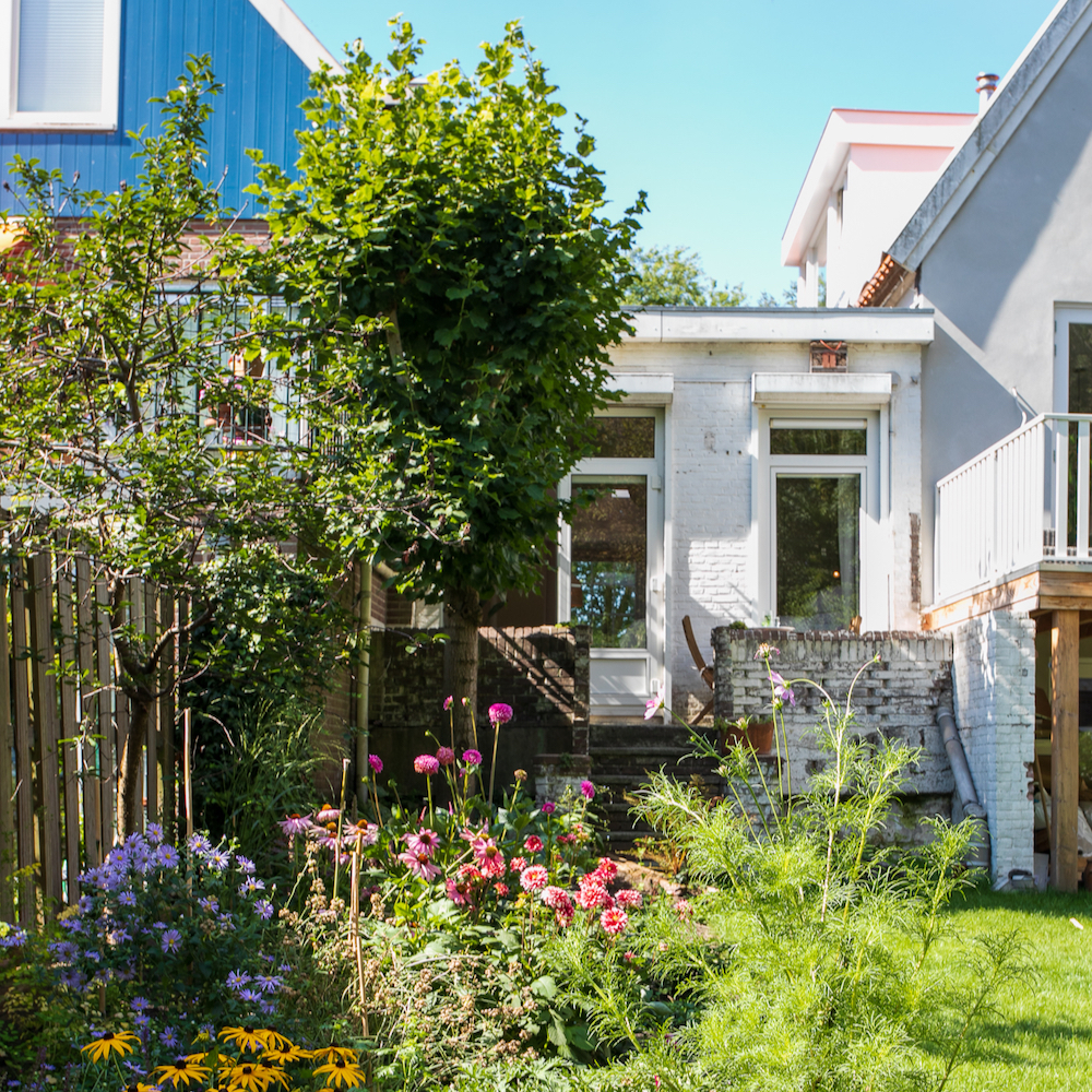 Sonniger Garten mit Blumen