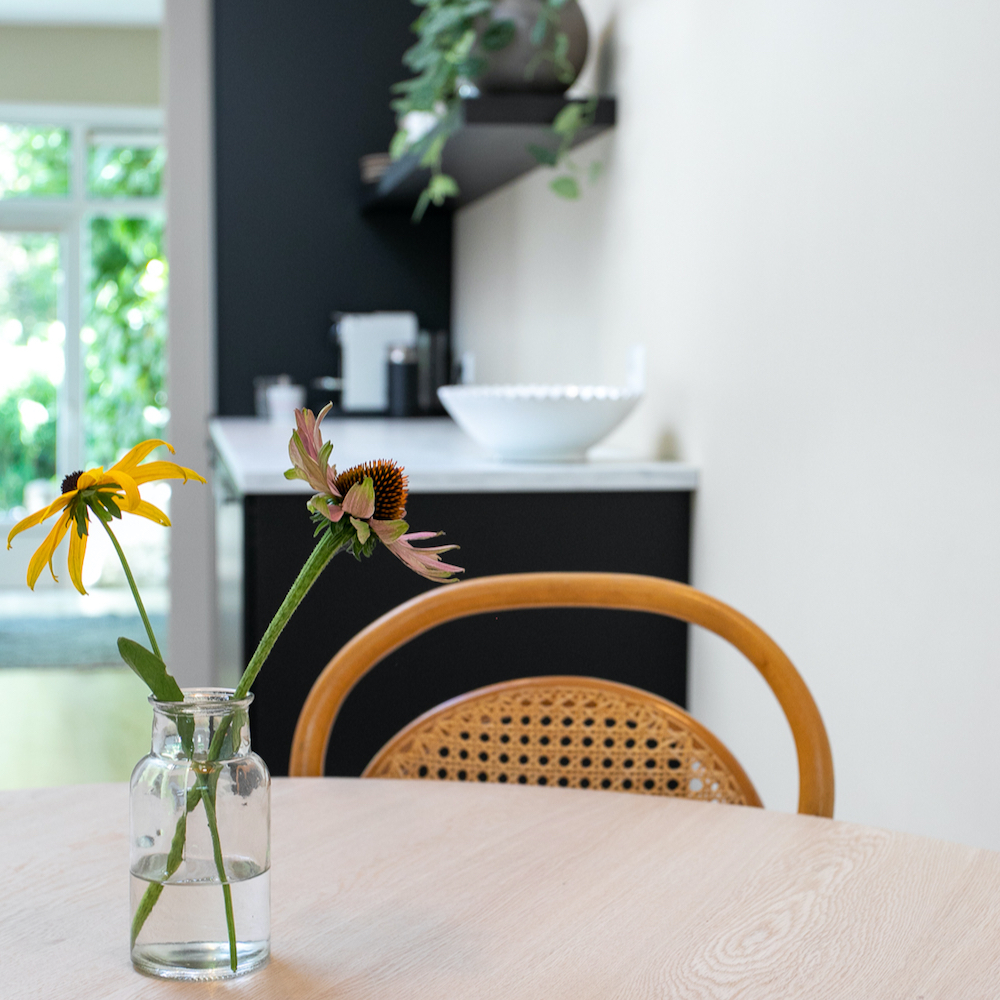 Zwei Blumen in einer Vase