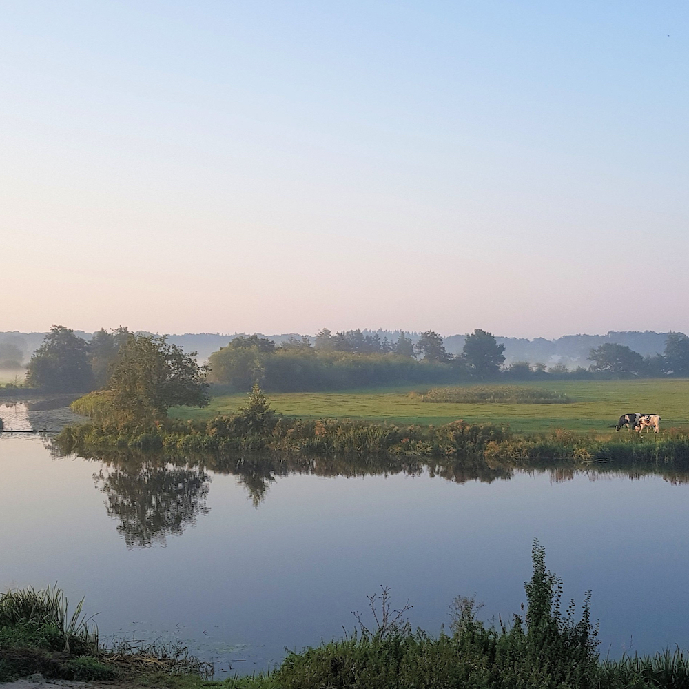 Fluss Vecht in Overijssel