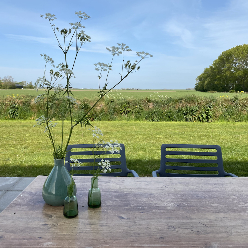 Ansichten der Natur auf Texel