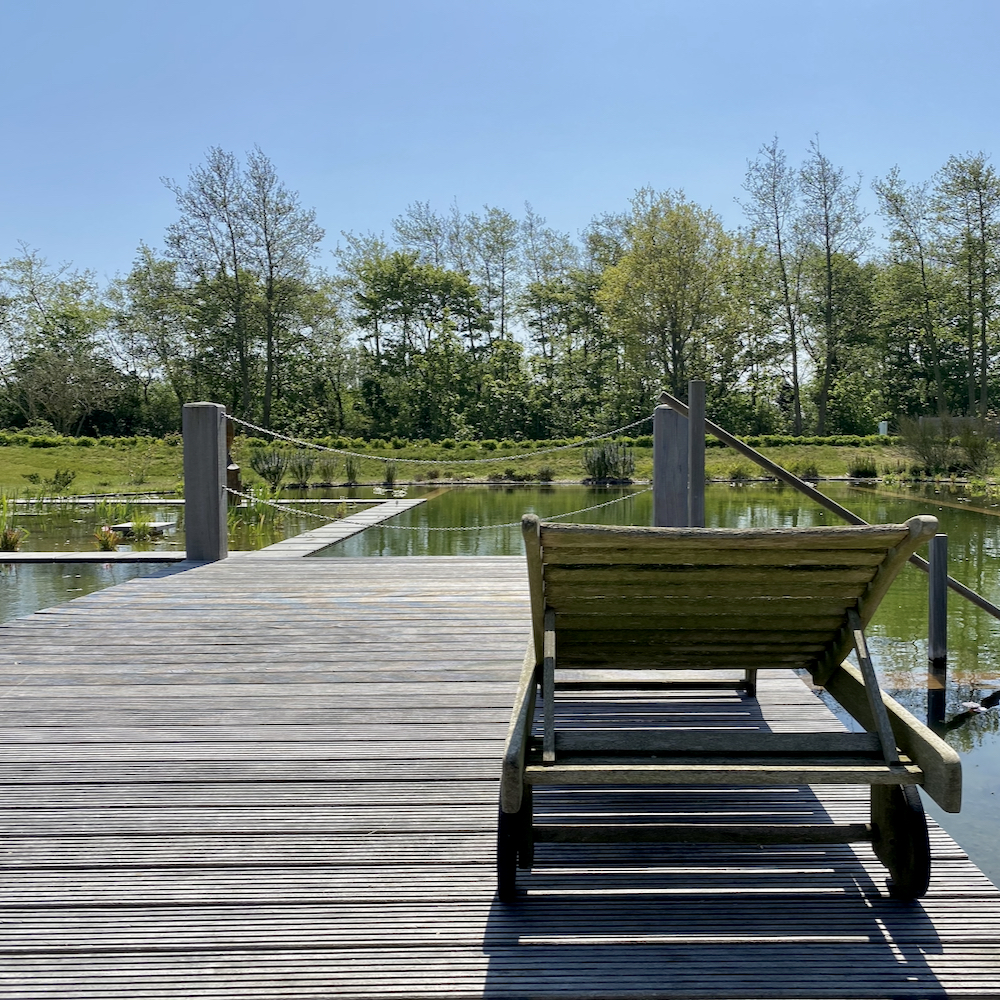 Ökologischer Schwimmteich bei der Unterkunft auf Texel