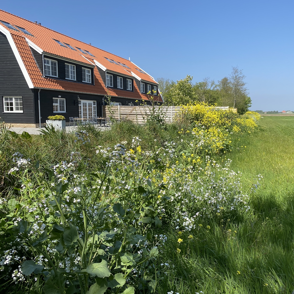 Nieuw Leven für einen Wochenendtrip oder Urlaub auf Texel, nachhaltige Urlaubsadresse