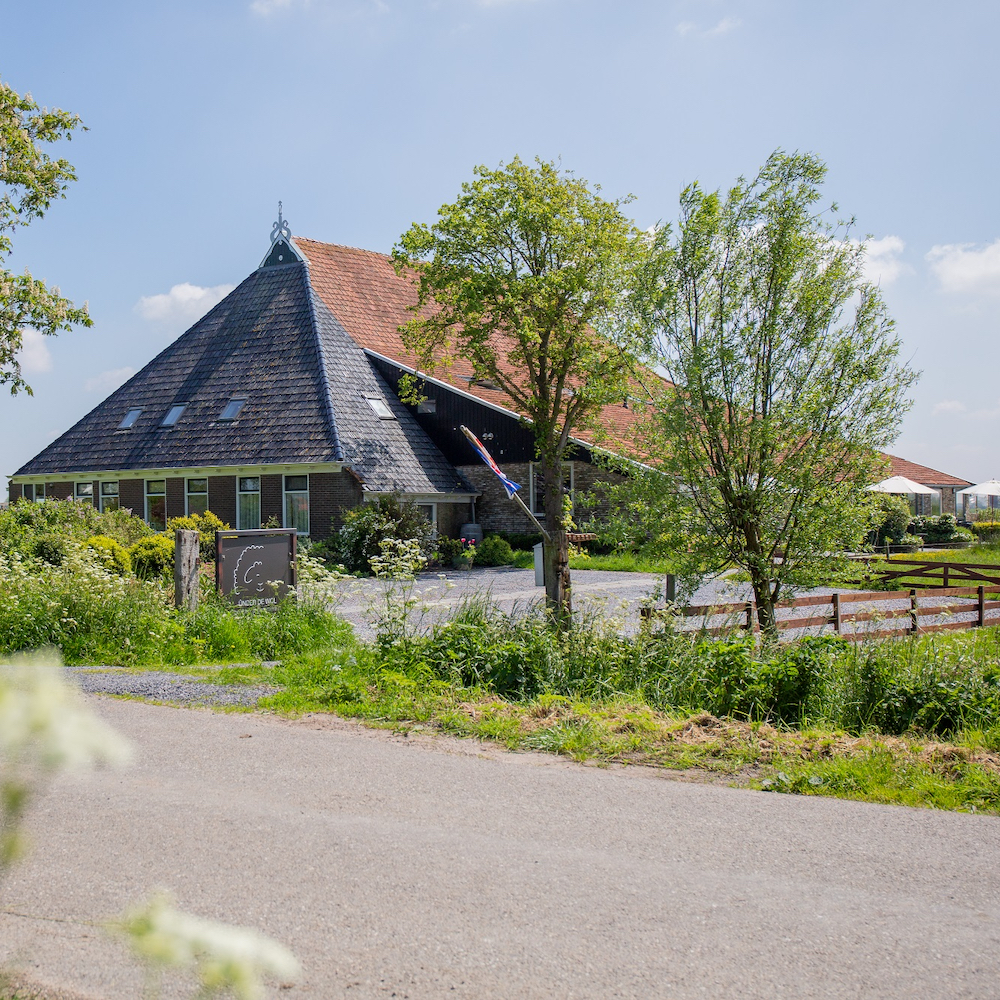unter der Wolle Oldga Urlaub Friesland grün Frühling