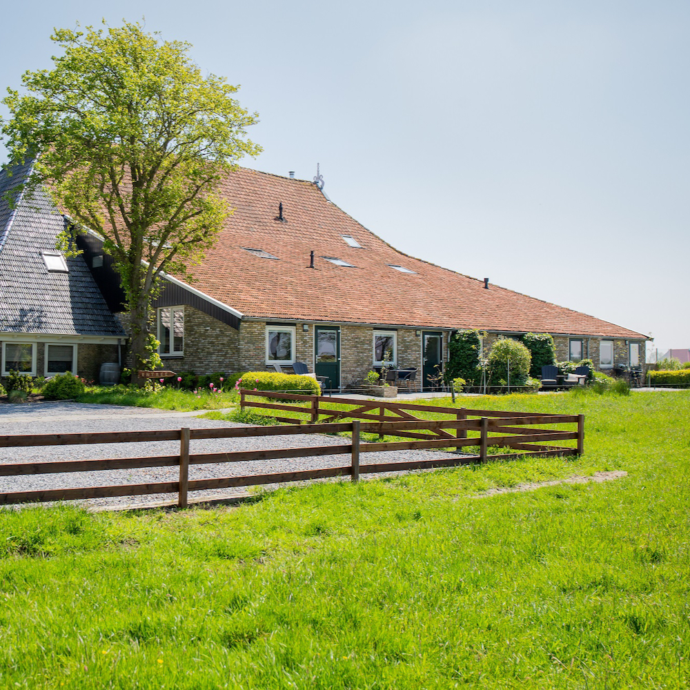 oudega holiday friesland grüner frühlingsbaum